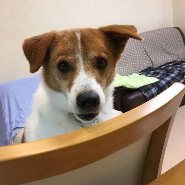 E523ef3c 99c6 478f a7e5 14e7ea7bd580