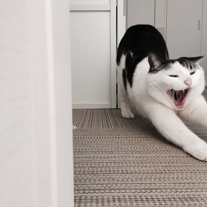 E523f962 594b 4aa0 866d 3853ba38e15e