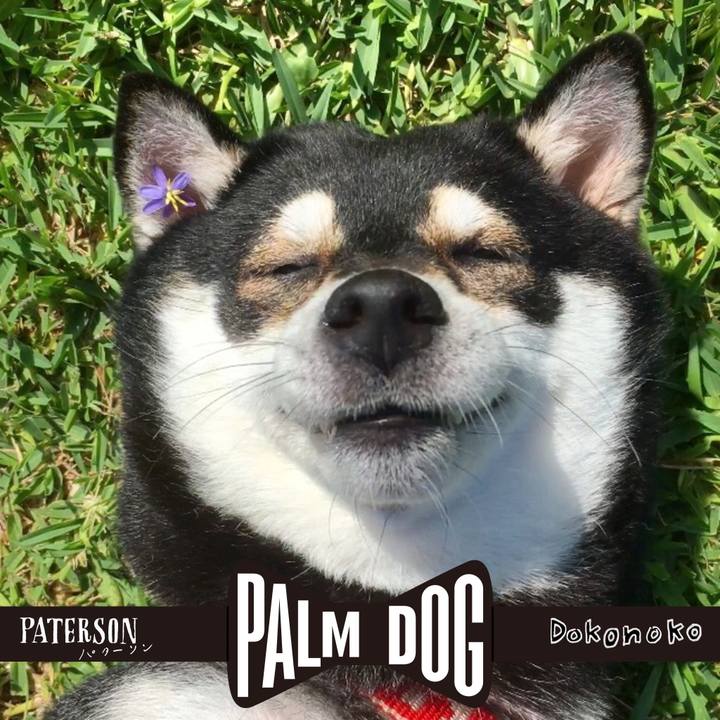 E5242121 fc1a 43fd a86e 71e5fe1a596b