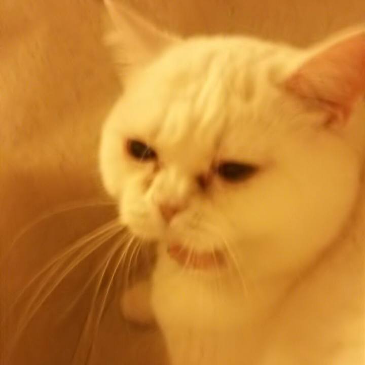 E524e3de 5bca 4486 8979 d2489ed5306d