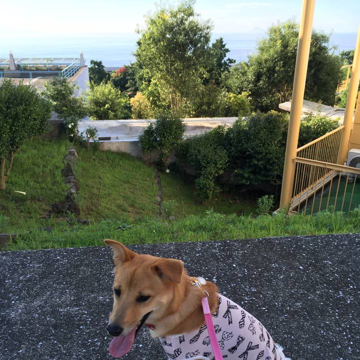 E525723b b962 4fe6 8cae 5d96c6dcedea