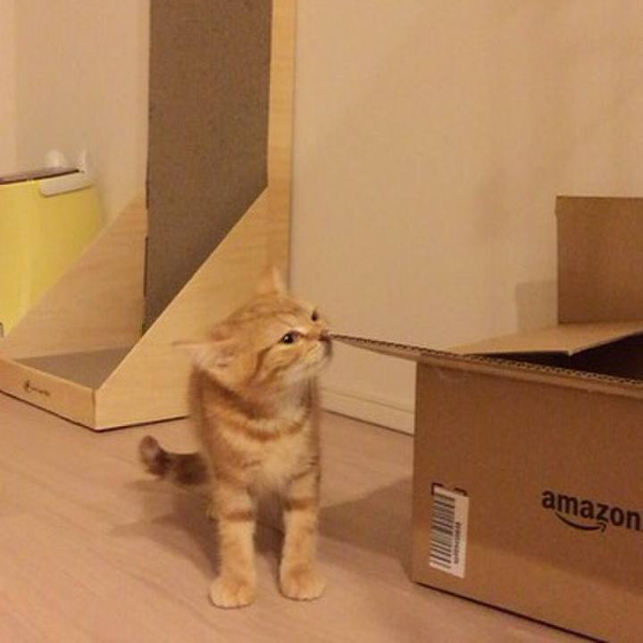 E525c3d1 02bb 4147 b47b 96ca89e11b50