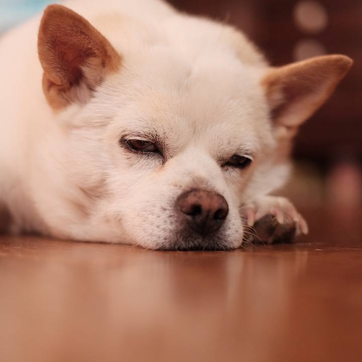 E525f4c9 8011 4a48 9abb 5ae930ee445e