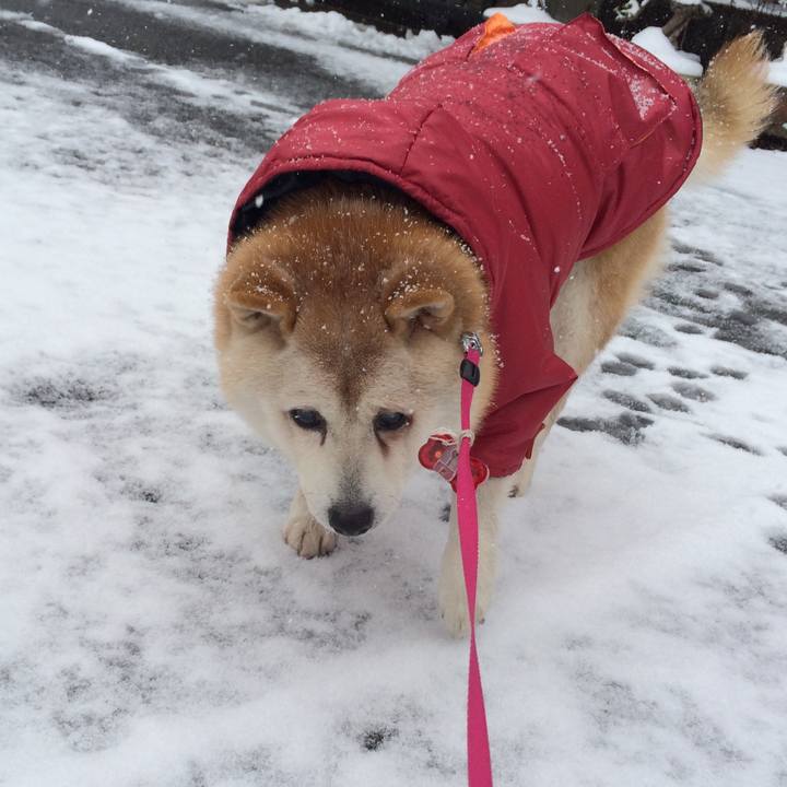 E5260f1c 8f96 43ec 93a0 fde871f065e5