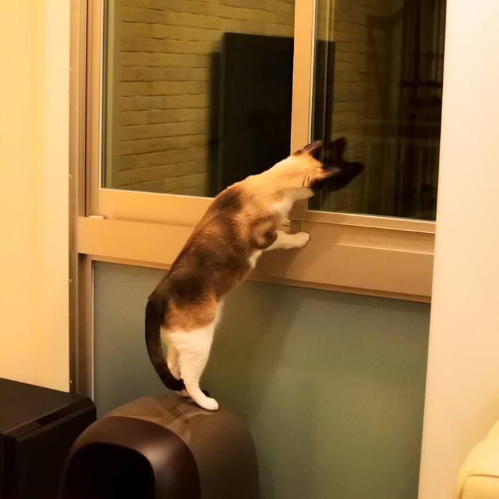 E5268542 9064 4234 8184 7a4c7cb1dd72