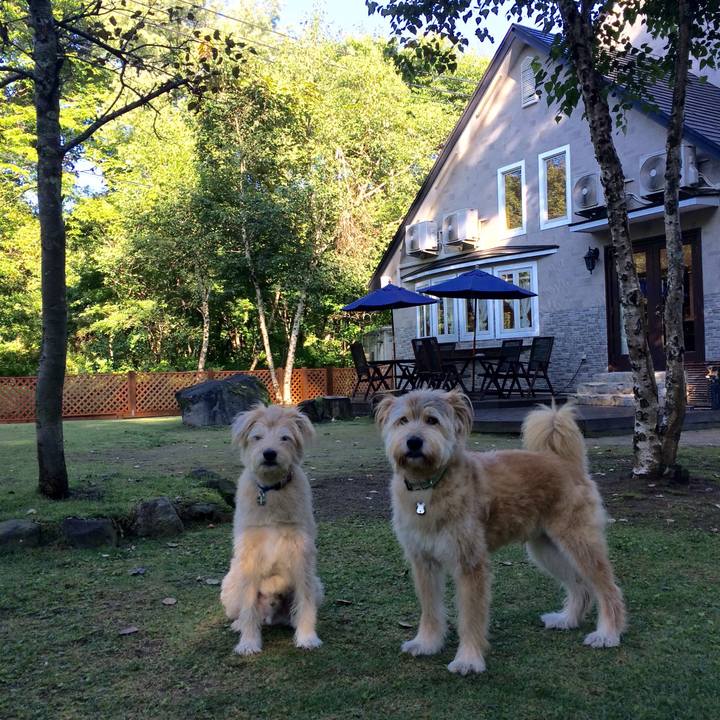 E526869a 43e9 4c72 95ba 12fa503f6550