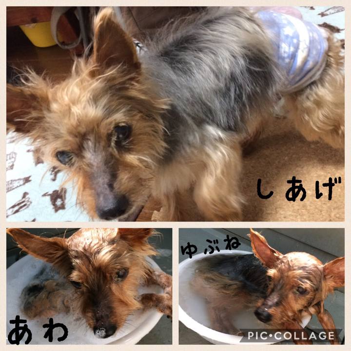 E526a5c9 b613 4555 bd79 a4f3c15458f4