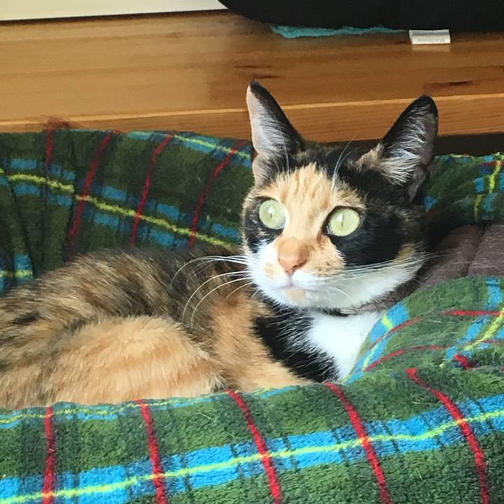 E5272d60 9103 40ec a413 433aed7f2aa4