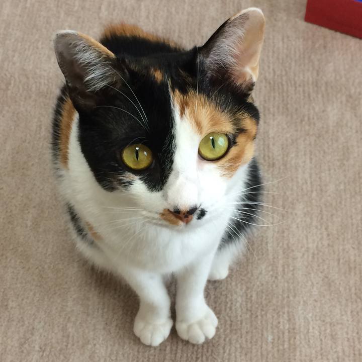 E52760c8 5fac 485f 9222 3961a1a584ea