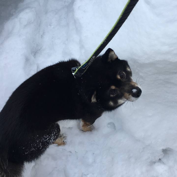 E527b1a0 e793 400b 96c4 3c8b3d3257b1