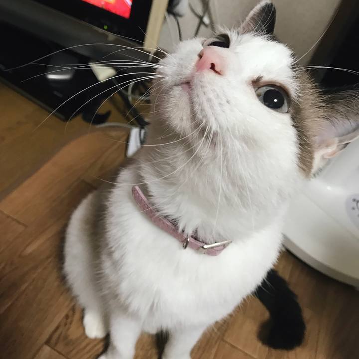 E527c8c1 c516 4cdc a357 bfc9c68a056d