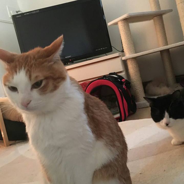 E5284141 c916 4b3a a2e6 3dba395973e6