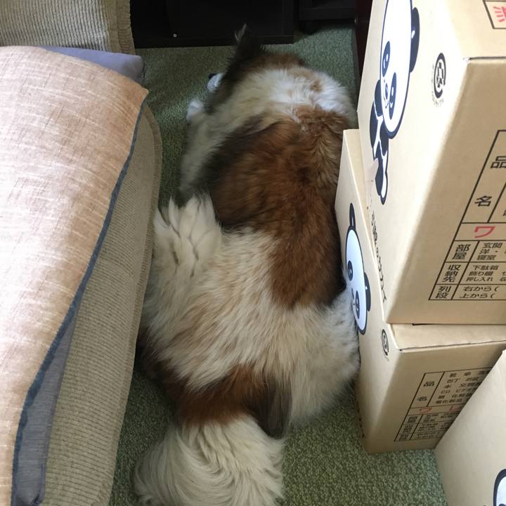 E5284f80 6171 4af2 b831 3b03a75cef0c