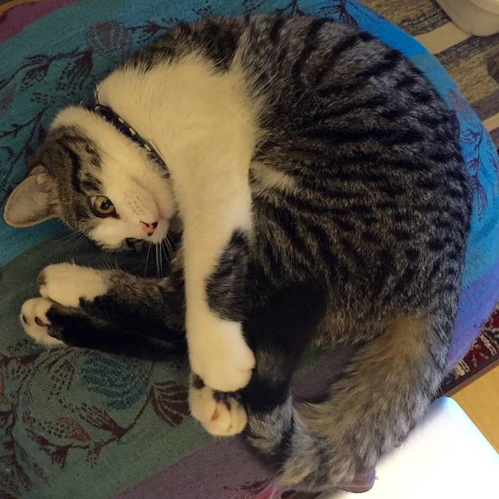 E5287265 a599 4dd5 b362 7d3acabbcd0a