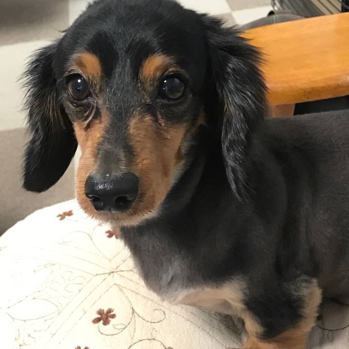 E528b7bc 7b48 499d b6fe aeebe616e2c8