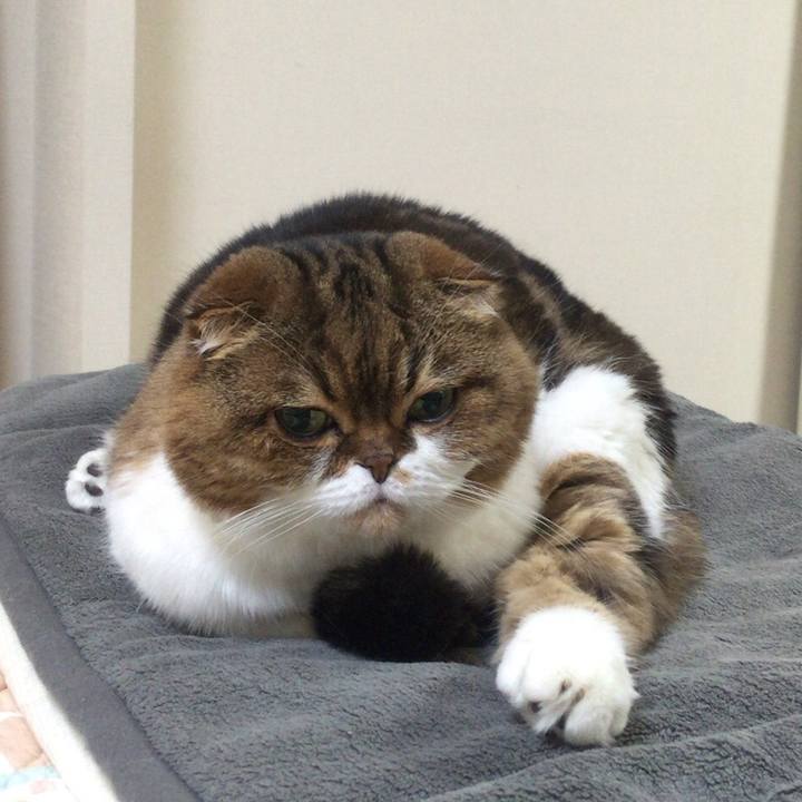 E528e0ce ed0a 406f b24d adbf8d00cf4d