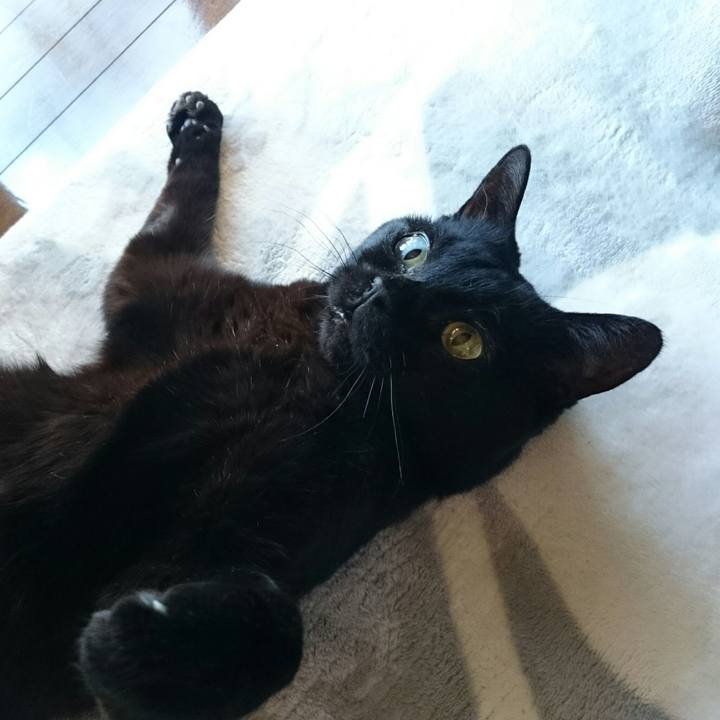 E528fb87 ca64 48a0 8e4b 55b898bc55e5