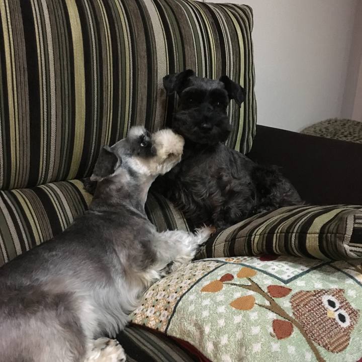 E5293c5d 666f 4ff1 b7a0 c0049a3b6558