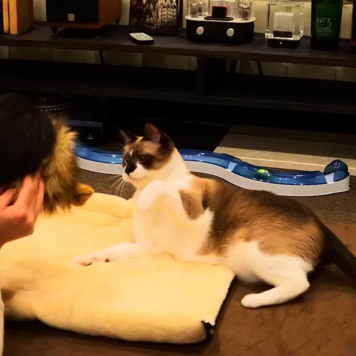 E529a216 c6e1 4dac b954 71ae00414b31