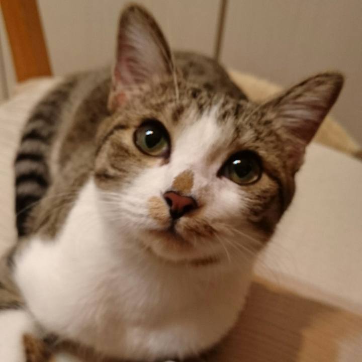 E52a200c 700f 40ff 9afc 57f5e6d799c4