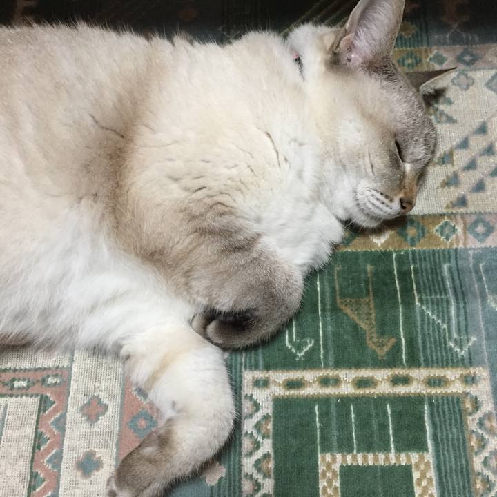 E52a7129 3607 4ff2 8712 b9fc2cefcae7