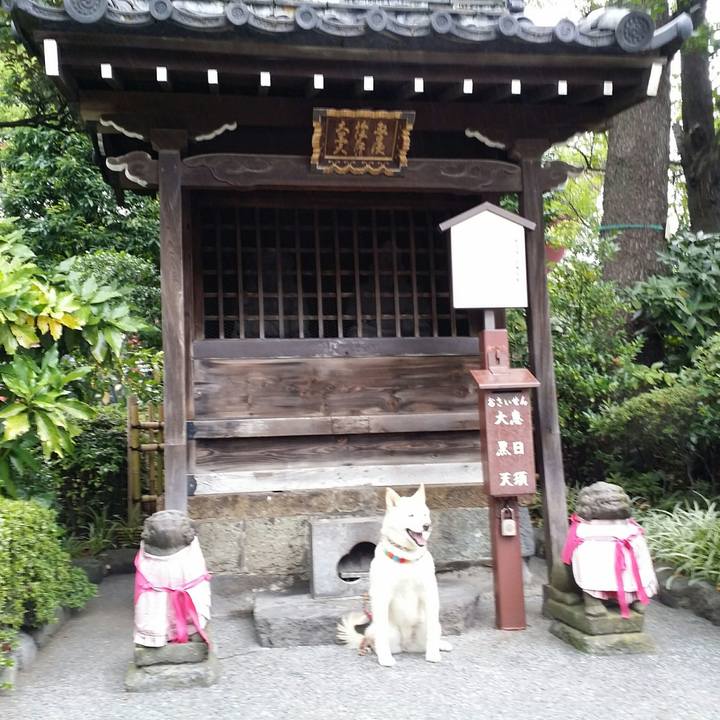 E52a9d67 b54d 4980 9279 f8522dae431e