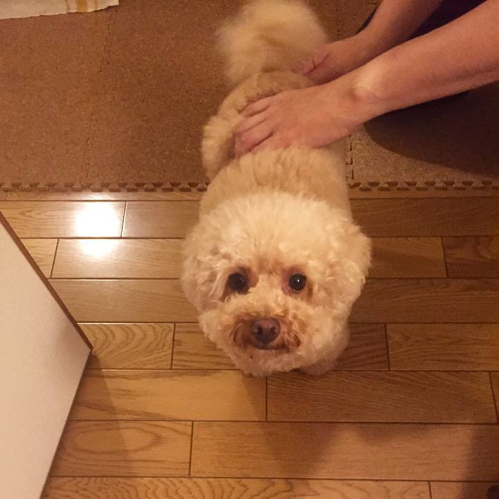 E52aa206 f92e 4f2f b6ef 347994782a0d