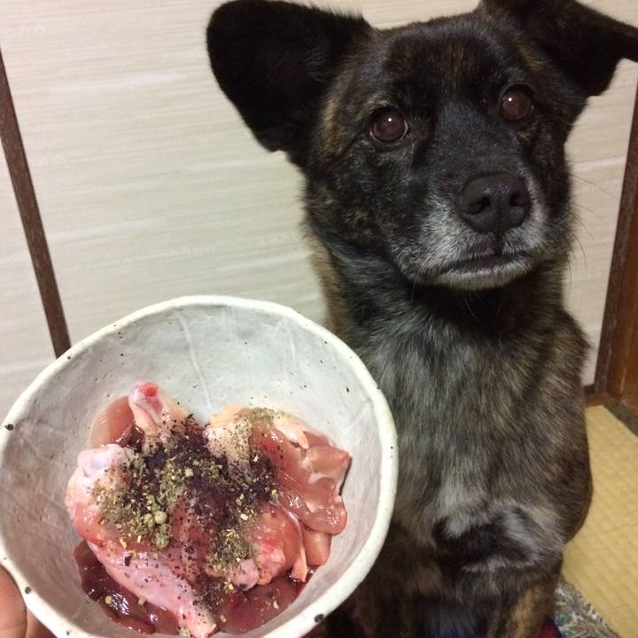 E52b6894 6a7c 46a8 b773 37c5d72b272c