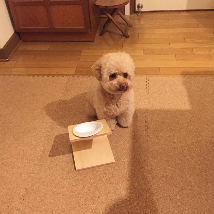 E52bcf4a b113 4ad7 b488 622d9cccf47d