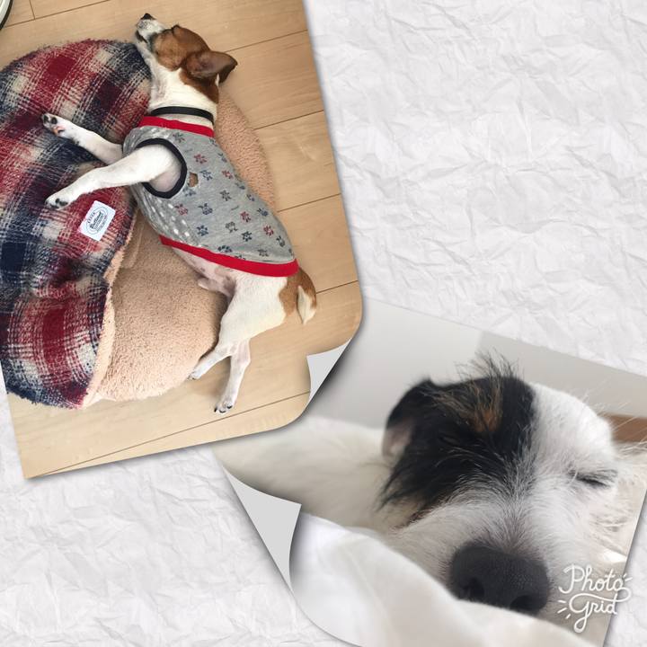 E52d1372 ac2f 49f4 8ea0 5aabda2189a3