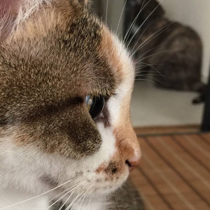 E52d2d7a dc99 4927 bb74 a0780b17ea21