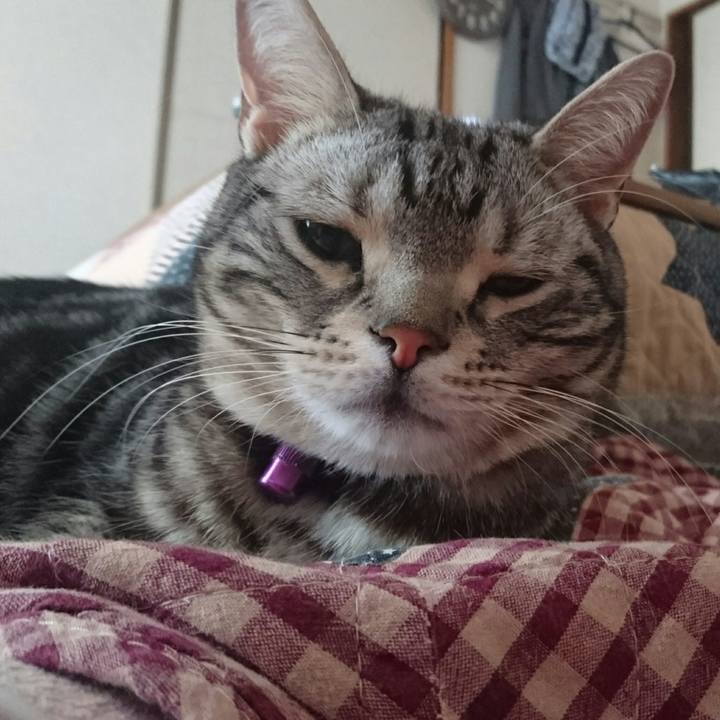 E52dee06 138b 4585 84dd d53552ec19c7