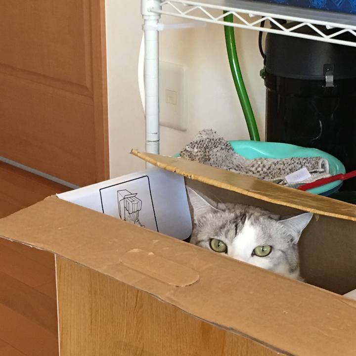 E52e319c f01b 4299 99d0 541663a1a7ea