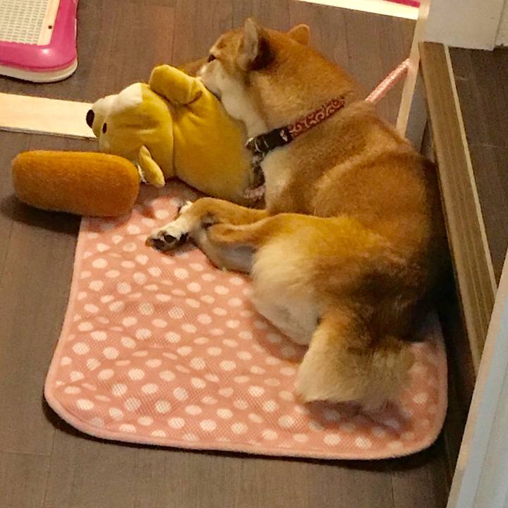 E52e3cdc f2e6 4c3f 8fac 4c689d1211ed