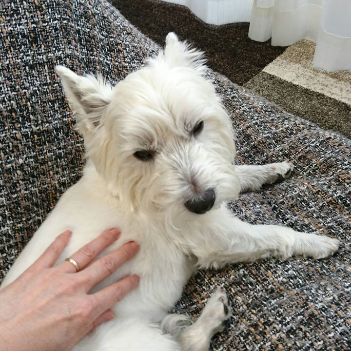 E52e6079 8a03 499f 889e bcb08b98fe61