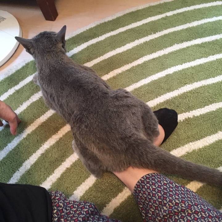 E52ec1cf cc5f 403f ade3 c4042f8e60bb