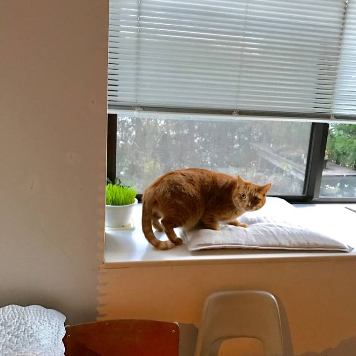 E52ed4c9 9839 4655 ab53 a6305905b91b