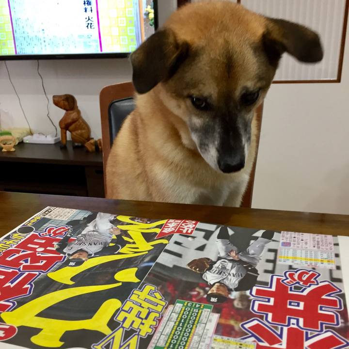 E52fce02 287f 4e0c b387 ff2e9cdd9ea6