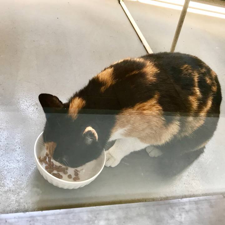 E52fe965 0b3d 49fe ba23 3871c74a8939