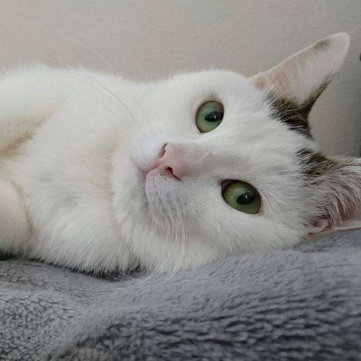 E5306eef c5a7 44a9 a501 c8d58973bb76