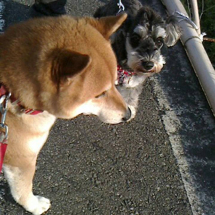 E5306f67 7b39 4d61 a5c1 1fd1026dc279