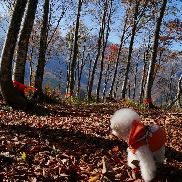 E530beec efe6 4649 8253 62b1abd71dfa