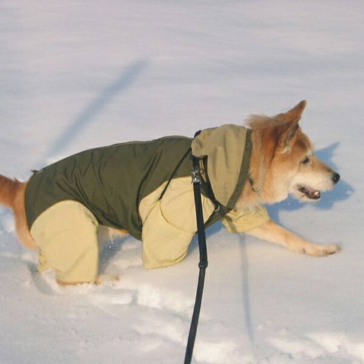 E530c865 7de0 40ef 8362 d455cad2dc99