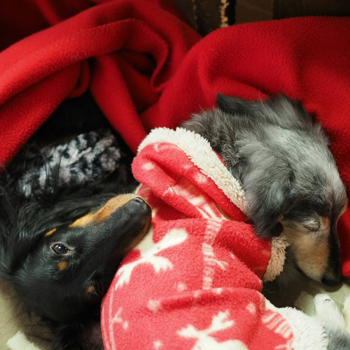 E53120cf f422 4704 aca2 ed9d90707f80