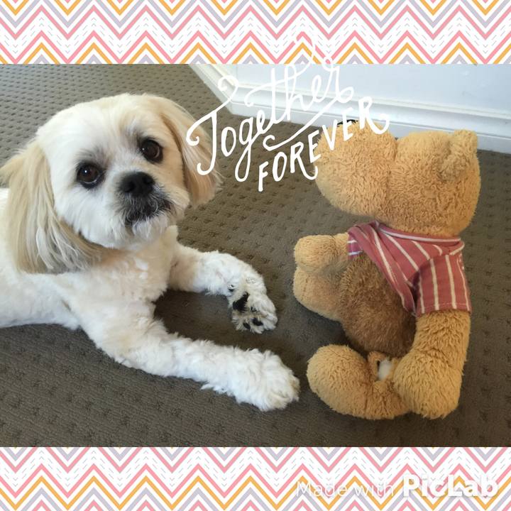 E53172a1 dd42 4d21 836b fd1e413f94a6