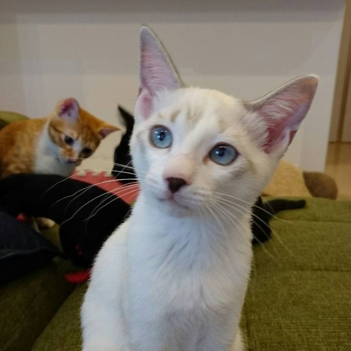 E53191cb b55d 41eb a8e3 5e234a328516