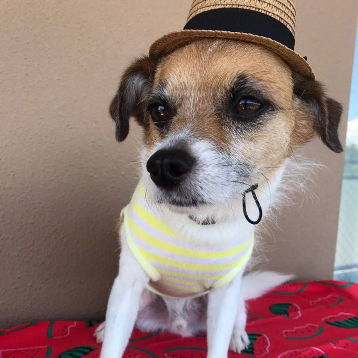 E53219bd 17bb 4ecb abac 30f62a7d7fe2