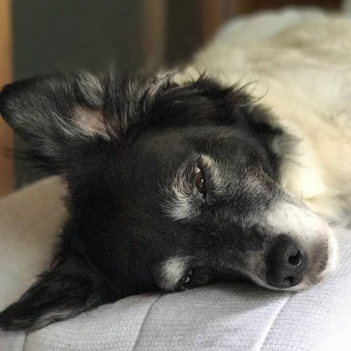 E532370b f714 499a a922 803a069a4a29