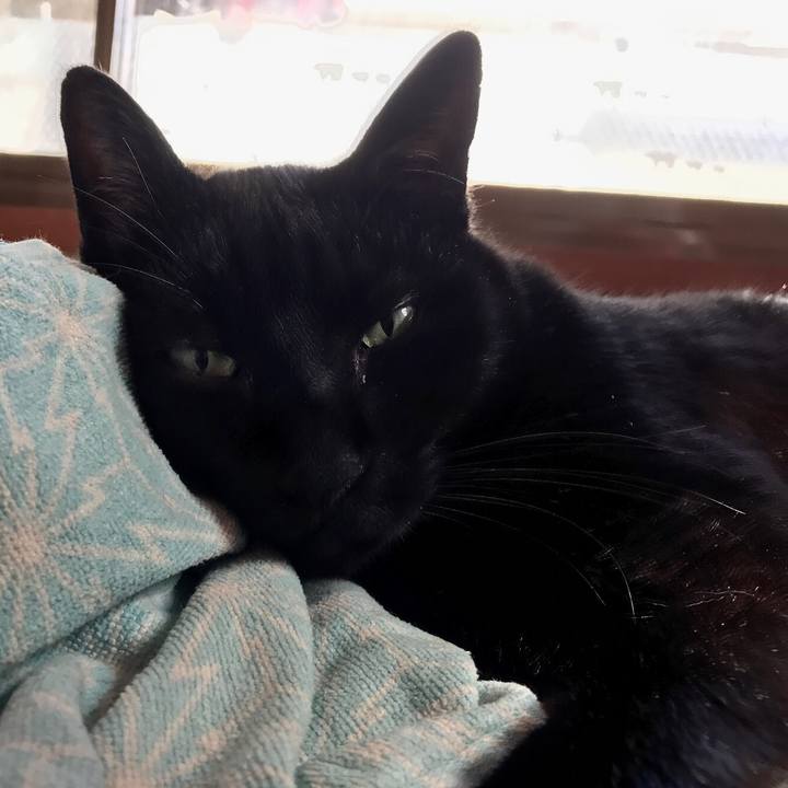 E532ace5 d7e5 454b 9de1 90832208f424