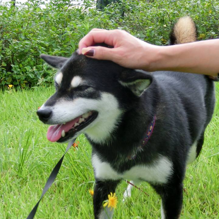 E532af03 f47d 450a bee3 a28f2c1ce160